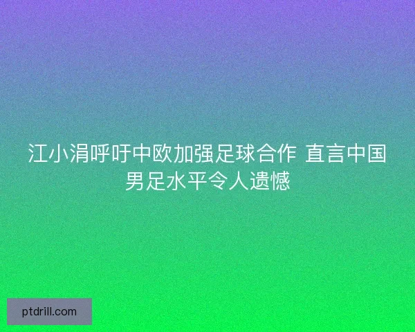 江小涓呼吁中欧加强足球合作 直言中国男足水平令人遗憾