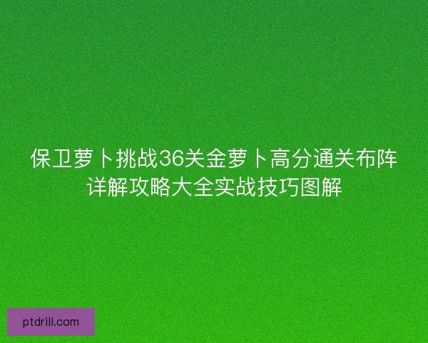 保卫萝卜挑战36关金萝卜高分通关布阵详解攻略大全实战技巧图解 保卫萝卜挑战36关金萝卜高分通关布阵详解攻略大全实战技巧图解