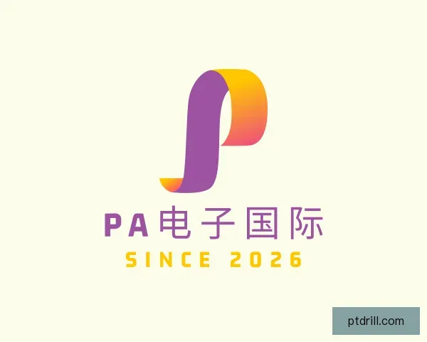 认识PA电子